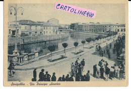 Marche-senigallia Via Principe Amedeo Animatissima Bella Veduta Via Case Persone Fiume Misa Anni 40 50 (v.retro) - Senigallia