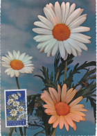 Carte Maximum San Marin Marino Fleur Flower - FDC