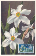 Carte Maximum San Marin Marino Fleur Flower - FDC