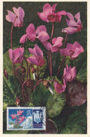 Carte Maximum San Marin Marino Fleur Flower - FDC