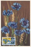 Carte Maximum San Marin Marino Fleur Flower - FDC