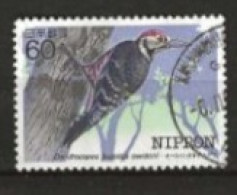 Japon N° YT 1490 Oblitéré  Oiseau   Dendrocopos  1984 - Gebruikt