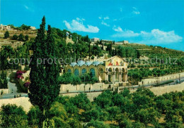 73249293 Jerusalem Yerushalayim Church Of Gethsemane Kirche Jerusalem Yerushalay - Israele