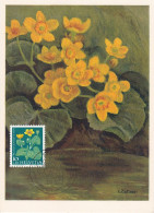 Carte Maximum Suisse Helvetia 1959 Pro Juventute Fleur Flower - Cartoline Maximum