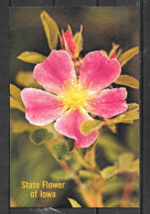 Iowa, State Flower, Wild Rose, Unused - Other & Unclassified