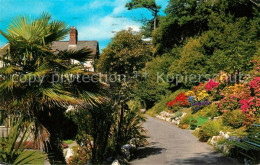 73131740 Exmouth Town Madeira Walk Palmtrees Flowers Exmouth Town - Autres & Non Classés