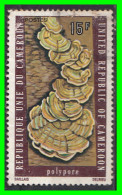 CAMERUN (  AFRIKA )  SELLO TEMATICA FAUNA - Camerun (1960-...)