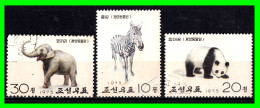 JAPÓN ( ASIA ) SELLO AÑO 1975 TEMATICA DEPORTE - Used Stamps