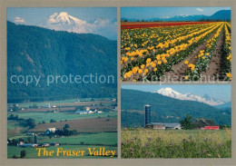 73126549 Abbotsford British Columbia Panorama Farmland Of Fraser Valley Abbotsfo - Non Classés