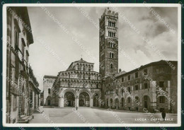 Lucca Città Cattedrale FG Foto Cartolina HB4922 - Lucca