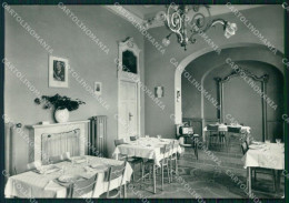 Verbania Stresa Collegium Europaeum FG Foto Cartolina HB4979 - Verbania