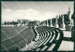 Roma Città Foro Italico MACCHIA FG Foto Cartolina HB5039 - Other & Unclassified