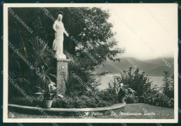 Verbania Ghiffa Ronco Di Lago Maggiore FG Foto Cartolina HB4987 - Verbania