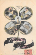 SOUVENIR De ROANNE - Roanne