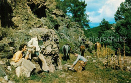 73123488 Albuquerque Western Trial Scene - Sonstige & Ohne Zuordnung