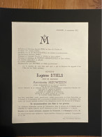 Eugene Stiels Veuf Meuwissen Antoinette Bourgmestre Maaseik Juge De Paix *1867 Hoeselt +1952 Maaseik De Sauvage Castro - Obituary Notices