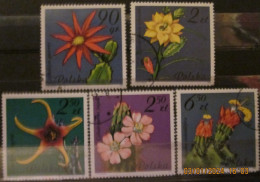 POLAND ~ 1981 ~ S.G. NUMBERS S.G. 2786 + 2788 - 2791. ~ SUCCULENT PLANTS ~ VFU #03524 - Used Stamps