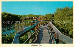 73060726 Florida_US-State Anhinga Trail Everglades National Park - Altri & Non Classificati