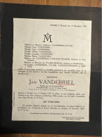 Jan Vandebriel Srudent St Jozefscollege Patrouille Leider Scouts *1925 Hasselt +1942 Hasselt Palms Vanhoutteghem Dendas - Obituary Notices