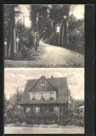 AK Colditz I. Sa., Forsthaus Lippert, Eingang Zum Wald  - Caccia