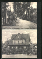 AK Colditz I. Sa., Forsthaus Lippert, Eingang Zum Wald  - Jagd