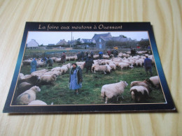 Ile D'Ouessant (29).La Foire Aux Moutons. - Ouessant