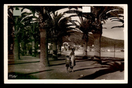 ALGERIE - ARZEW - LES PALMIERS DE LA PLAGE - Sonstige & Ohne Zuordnung