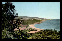 ALGERIE - ROUTE DE DELLYS A TIGZIT SUR MER - Other & Unclassified