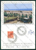 Rimini Riccione Raduno Nazionale Numismatico FG Cartolina KB0251 - Rimini