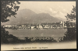 CPA PALLANZA  (Italie) Vista Dall Isola Madre, Lago Maggiore - Verbania