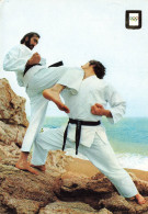 CPSM Sport-Série Karaté-Hittsui Geri-40-Timbre   L2866 - Altri & Non Classificati