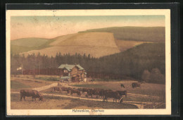 AK Hahnenklee /Oberharz, Blick Auf Haus An Kuhweide  - Oberharz