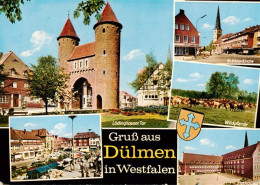 73933131 Duelmen Luedinghauser Tor St Viktor Kirche Wildpferde Markt Rathaus - Duelmen