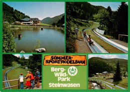 73931884 Todtnau Sommer-Sportrodelbahn Bergwildpark Steinwasen Im Schwarzwald - Todtnau
