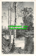 R483512 Lake In Forest. N. Z. G. Serie. K. 6. 1926 - Monde
