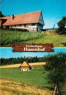 73931263 St_Roman_Wolfach Ferienhaus Hasenhof - Wolfach