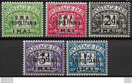 1948 Tripolitania B.M.A. Segnatasse 5v. MNH Sass. N. 1/5 - Other & Unclassified