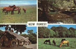 72466292 New Forest Ponies Highland Water Cat And Fiddle Inn   - Other & Unclassified