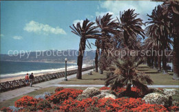 72461493 Santa_Monica Gorgeous Geranium Bed Palisades Park - Altri & Non Classificati