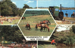 72461434 Brockenhurst Bournemouth New Forest Ponies   - Other & Unclassified