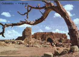 72460563 Caesarea Israel Ruine Caesarea Israel - Israele