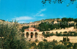 73021321 Jerusalem Yerushalayim Basilica Agony Garden Gethsemane Jerusalem Yerus - Israel