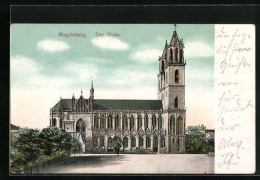 AK Magdeburg, Der Dom  - Maagdenburg