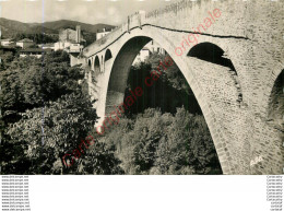 66.  CERET .  Le Pont Du Diable . - Ceret