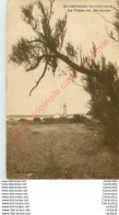 17.  SAINT GEORGES DE DIDONNE .  Le Phare Vu Des Dunes . - Saint-Georges-de-Didonne