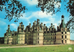 41  CHAMBORD LE CHÂTEAU  - Chambord