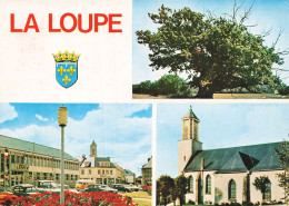 28  LA LOUPE - La Loupe