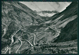 Bolzano Strada Dello Stelvio Foto FG Cartolina KV8430 - Bolzano