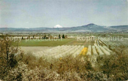 72766927 Rogue_River Valley Oregn  - Other & Unclassified