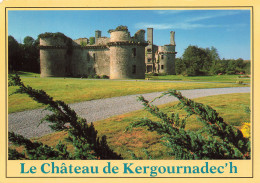 29 CLEDER LE CHÃ‚TEAU DE KERGOURNADEC H - Cléder